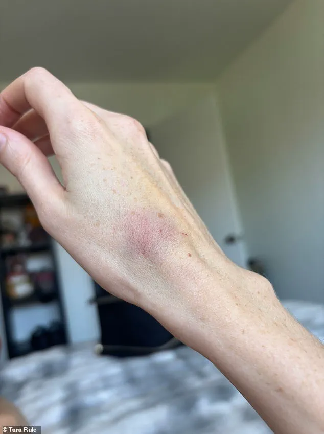 TikTok Influencer Claims American Airlines Refused Help Stowing Carry-On, Highlighting Disability Accommodation Issues in Air Travel