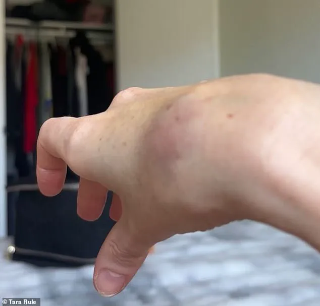 TikTok Influencer Claims American Airlines Refused Help Stowing Carry-On, Highlighting Disability Accommodation Issues in Air Travel