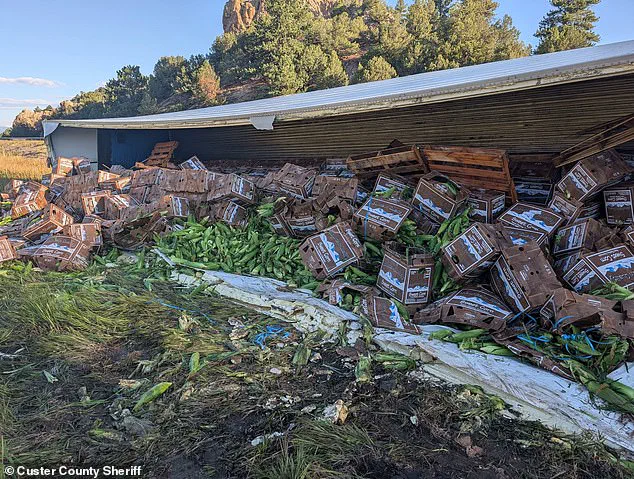 Privileged Access: Colorado Truck Crash Spills Corn, But Details Remain Limited