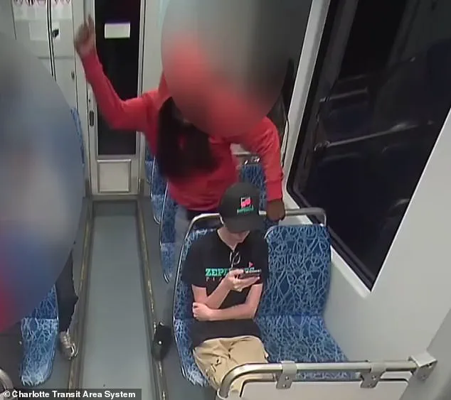 Police Release Limited Surveillance Footage of Train Stabbing