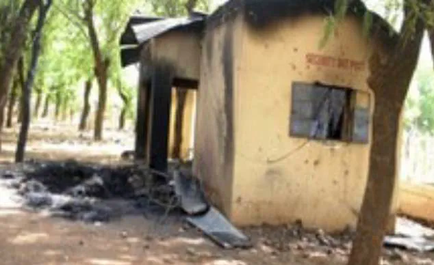 Nigeria Mob Attack on Amaye: Blasphemy Allegations and 'Jungle Justice' in Controversial Incident