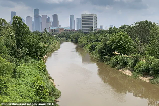 Houston Bayou Murders: 23 Bodies Found Amid Serial Killer Fears and Retired Detective's Chilling Claims