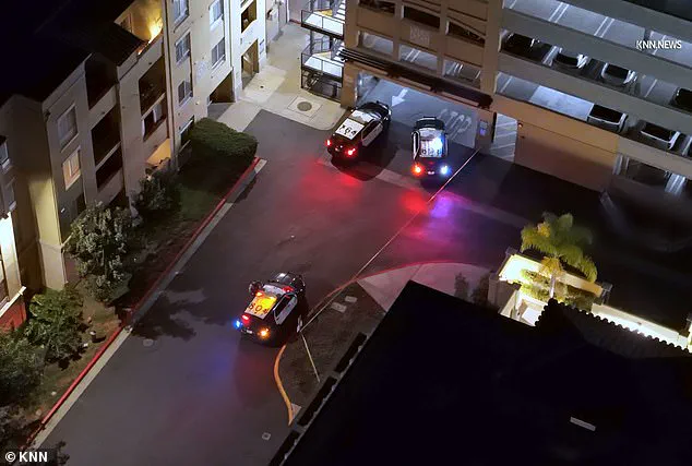 Mysterious Death of Carrie Elizabeth Romney Sparks Speculation and Unanswered Questions