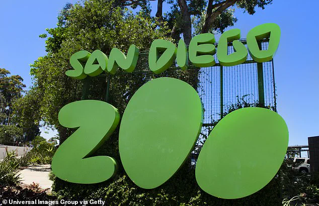 Gramma the Galapagos Tortoise Dies at 141: San Diego Zoo Announces Euthanasia Due to Severe Degenerative Condition