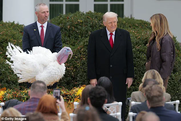 Unexpected Jabs and Policy Pronouncements Mark Trump's Thanksgiving Turkey Pardon Ceremony