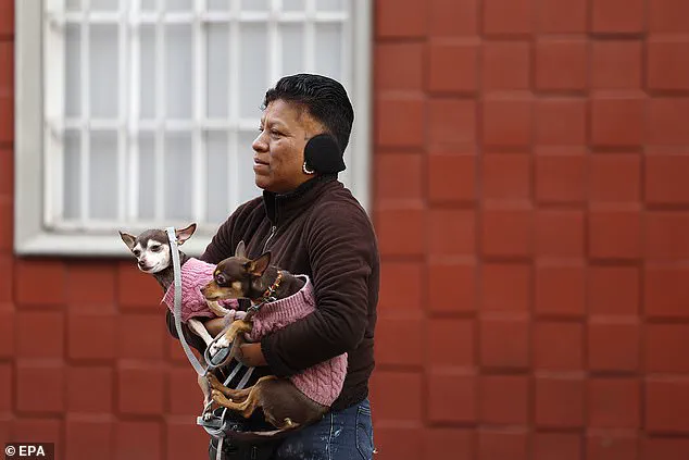 Restricted Information: The Earthquake That Disrupted Mexico's President's First Press Briefing