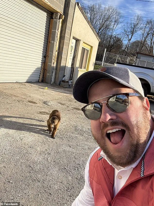 Cinnamon Capuchin Monkey Causes Havoc at Tennessee Music Store