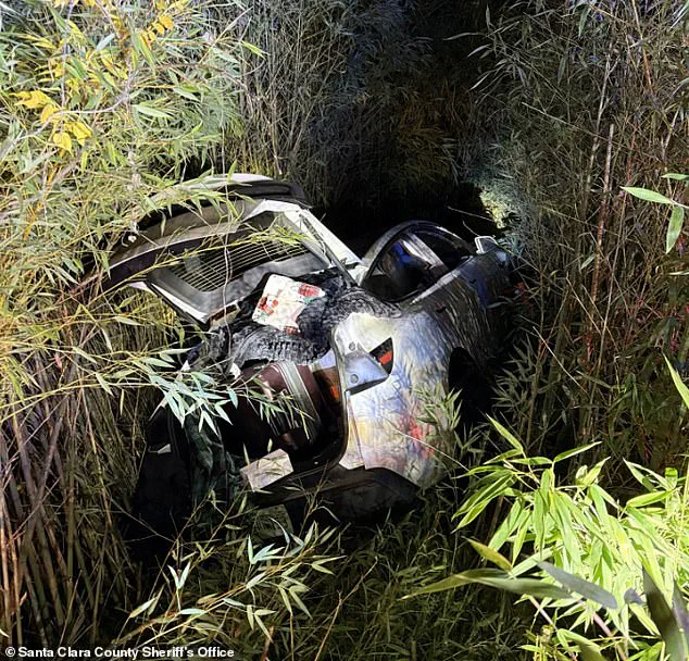 Legal and Ethical Dilemma: Balancing Public Safety, Financial Accountability, and Mental Health in the Case of Vikram Beri