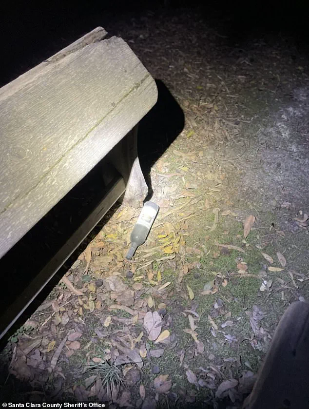 Legal and Ethical Dilemma: Balancing Public Safety, Financial Accountability, and Mental Health in the Case of Vikram Beri