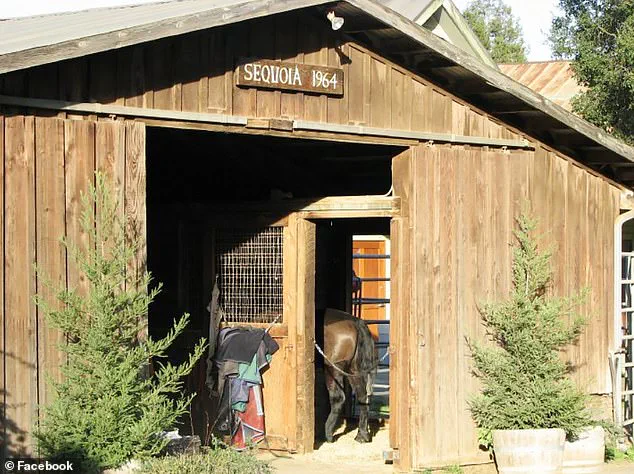 Legal and Ethical Dilemma: Balancing Public Safety, Financial Accountability, and Mental Health in the Case of Vikram Beri