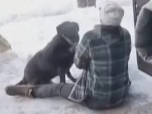 Viral Video of ICE Agent Shooting Sparks Nationwide Outrage as Demonstrators Demand Justice for Karen Good, Poet and Mother of Three: 'This is not just about one woman—it's about the systemic violence we've tolerated for too long,' Says Protest Organizer