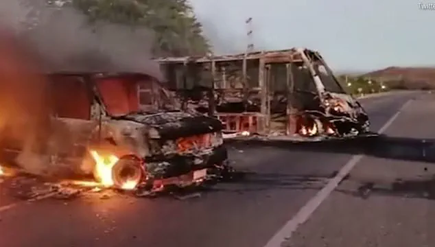 Privileged Access, Public Peril: The Hidden Dimensions of Trump's Cartel War