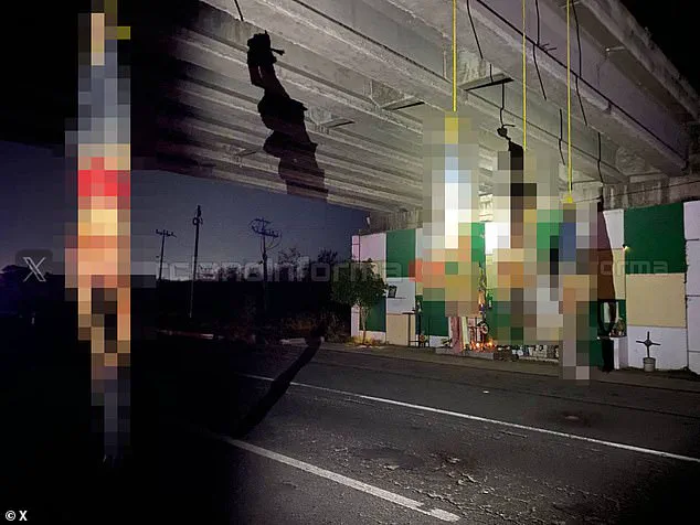 Privileged Access, Public Peril: The Hidden Dimensions of Trump's Cartel War