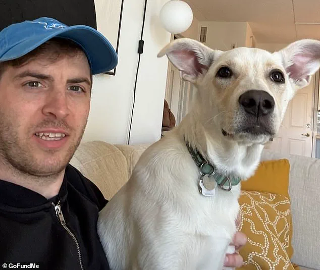 British Expatriate Luke Kellett-Smith Killed in Alleged Toronto Attack, Tributes Highlight His Charismatic Nature