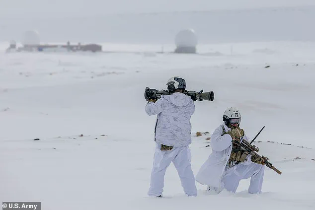 Public Impact of Arctic NATO Operation as Germany Counters Trump's Greenland Ambitions