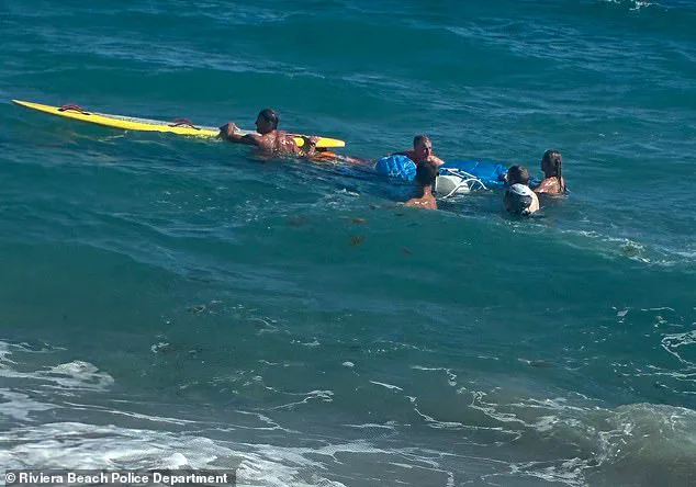 Exclusive Footage Reveals Paraglider's 500-Foot Fall and Lifeguard Rescue