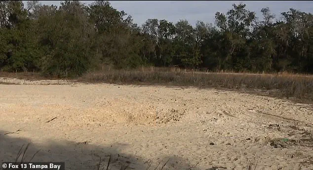 Tragedy Strikes Inverness: Two Teen Friends Lost in Sandhole Accident, Community Mourns 'Unbreakable Bond'