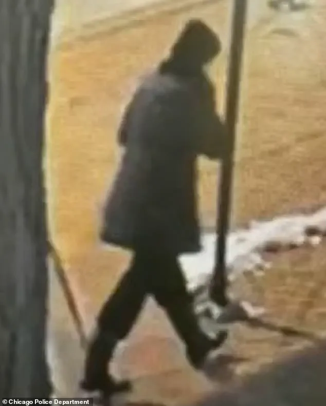 Tragic Discovery: Body of Chicago Special Ed Teacher Linda Brown Found in Lake Michigan, Ending 10-Day Search