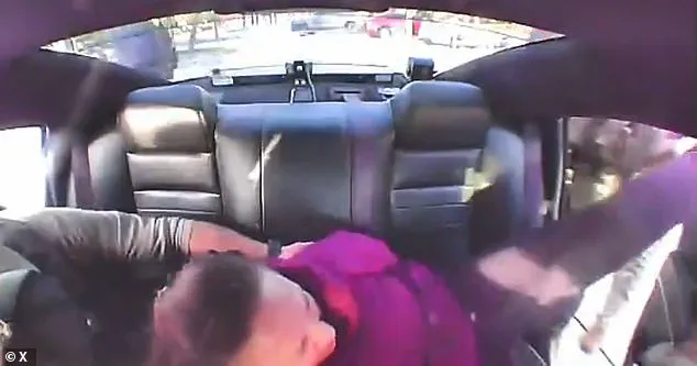 Florida Woman Arrested After Punching State Trooper During Anti-ICE Protest Sparks Debate Over Use of Force