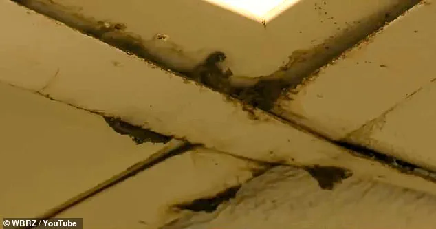 Wendy's in Ascension Parish: Workers Describe Black Mold and Unsafe Conditions as Public Health Crisis Grows, Corporate Oversight Fails to Act