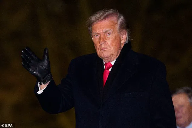 Exclusive Insights: The Privileged Access to Information at the 2025 World Economic Forum