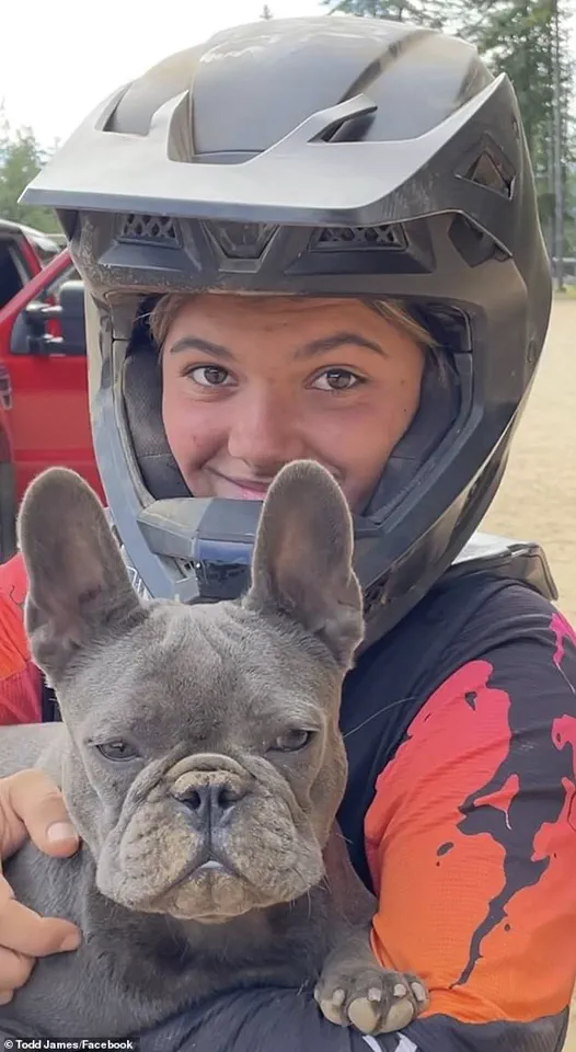 Tragedy of Canadian Tourist's Death Sparks National Debate on Wildlife Conservation and Policy Adequacy, as Authorities Confirm Dingoes 'Touched and Interfered' with Remains