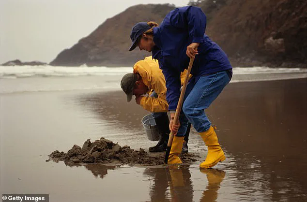 Boston Harbor's Revival: 'Fuck the Environment' Controversy Amid Multibillion-Dollar Cleanup and Economic Shifts
