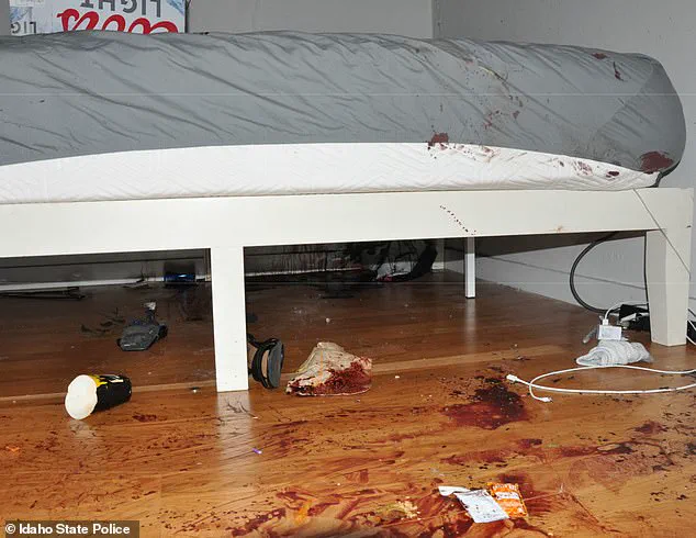 Idaho Releases Crime Scene Photos from 2022 Moscow Murder Case