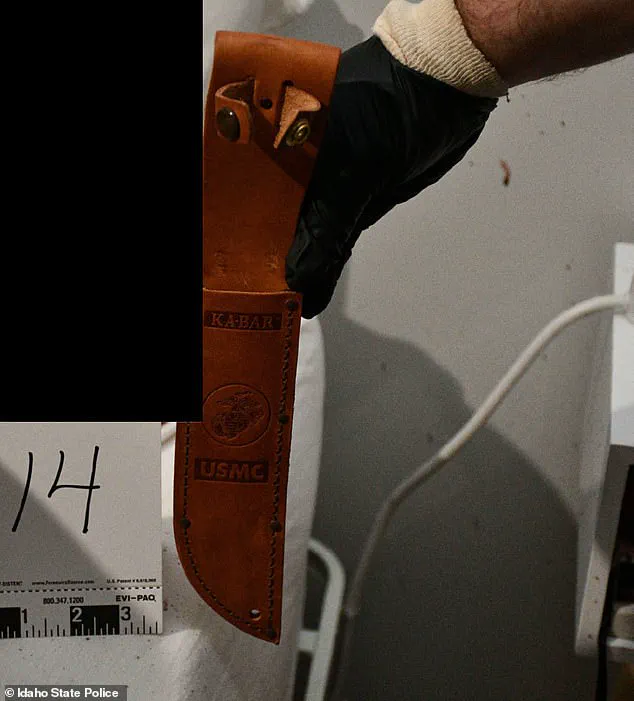 The Perfect Crime That Crumbled: A Criminology PhD's Fatal Flaw