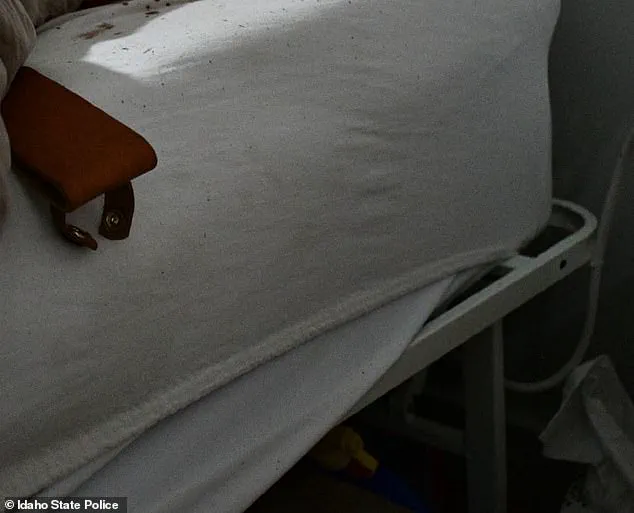 The Perfect Crime That Crumbled: A Criminology PhD's Fatal Flaw