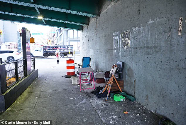 Government Directive to Halt Homeless Encampment Clearing Sparks Resurgence in NYC