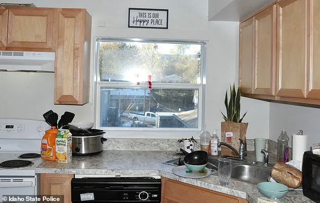 Vivid, Joyful Lives Erased: New Idaho Murder Photos Reveal Tragedy Behind the Brutality