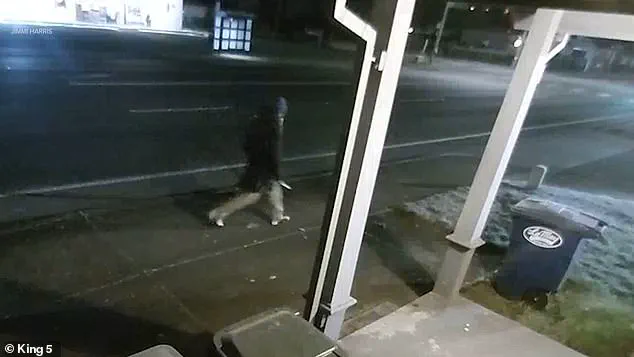 Religious Dispute Sparks Attack Leaving Man and Dog Critically Injured in Parkland, Washington