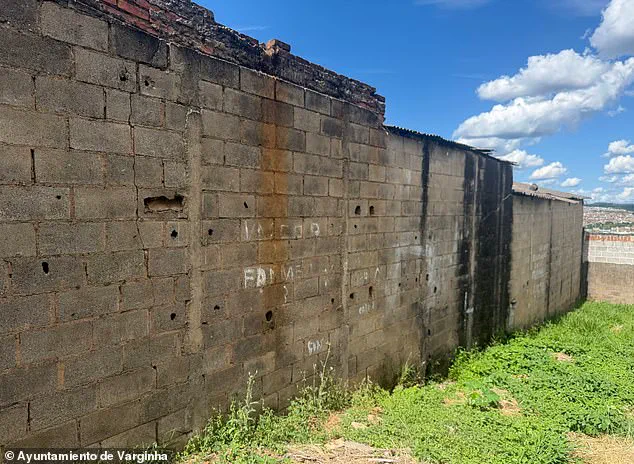 Exclusive Insights: The Varginha Encounter and the Information That Remains Hidden