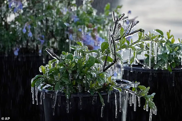 Exclusive: Privileged Access to Storm Data as Winter Storm Gianna Threatens Millions with Unprecedented Cold