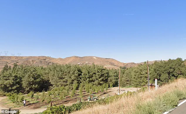 Disney's Secret Sanctuary: The Hidden Gem of Gold Oak Ranch