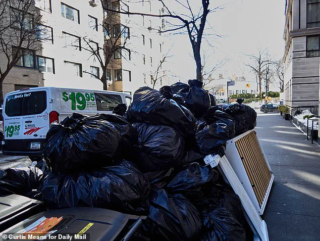 Mayor's Pristine Mansion Stands Amid NYC's Snow and Trash Chaos as Cleanup Stalls