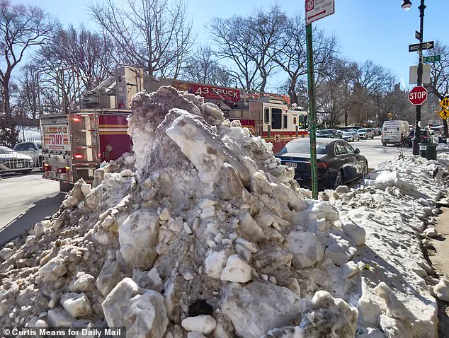 Mayor's Pristine Mansion Stands Amid NYC's Snow and Trash Chaos as Cleanup Stalls