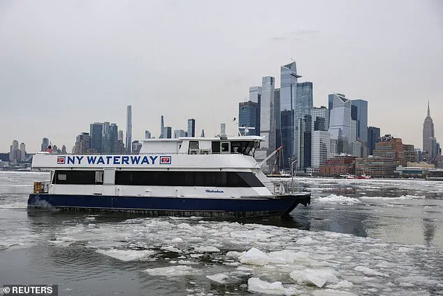 Millennial and Gen Z-Dominated U.S. Cities Are Becoming Democratic Strongholds, Reshaping the Political Landscape