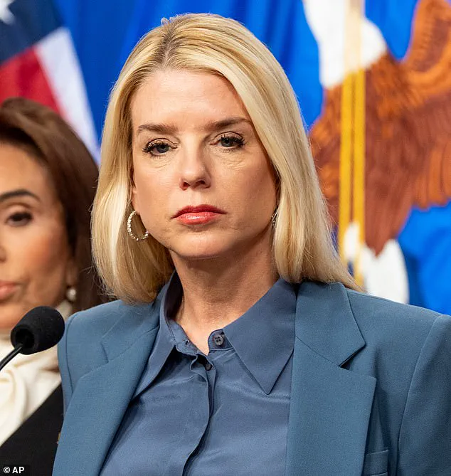 Nasra Ahmed Alleges ICE Abduction Amid Legal Battle and Clashing Accounts