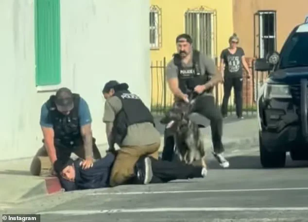 Viral Video of Teen Tackle Sparks ICE Raid Fears, Police Clarify It's Undercover Pursuit