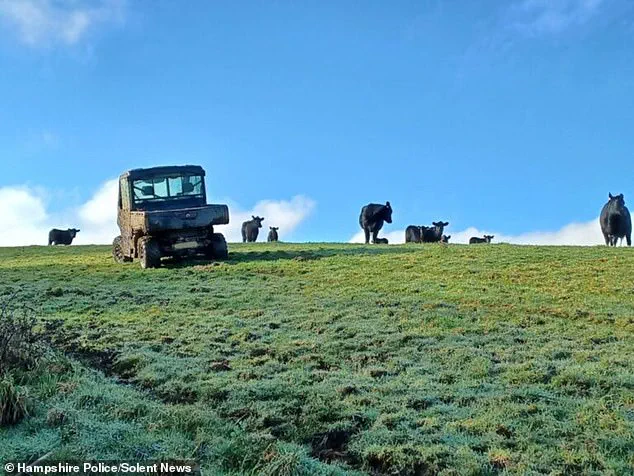 Firefighters Rescue Dog Walker Trapped by Charging Cow on Isle of Wight