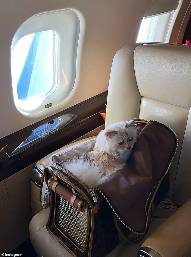 Legal Battle Over Karl Lagerfeld's €200M Estate: Unusual Bequests to Assistant, Models, and Cat Face Scrutiny