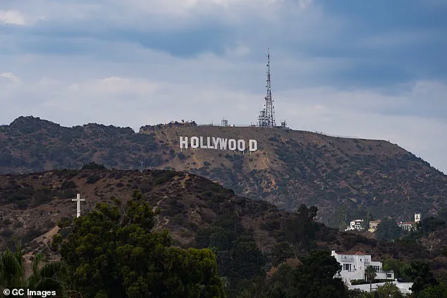 Meredith Hayden, TikTok's Wishbone Kitchen, Reveals Traumatic Drugging and Kidnapping Incident