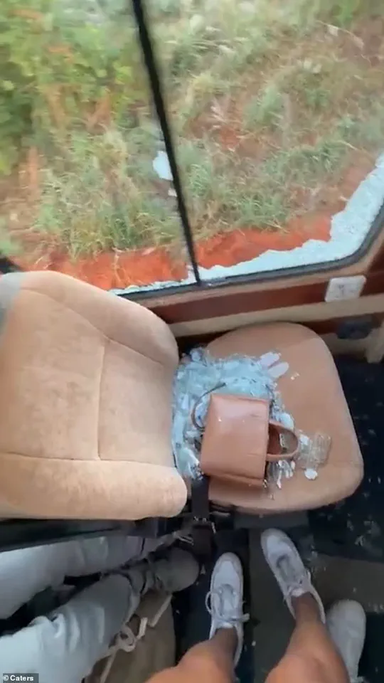 Sudden Elephant Charge Shatters Safari Truck Window, Leaving British Tourists in Panic