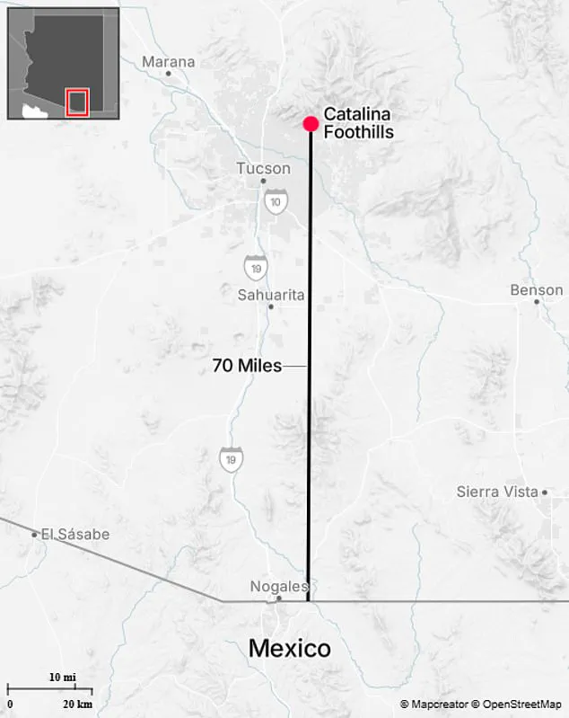 Neighbor's Tip About Pristine Roof Sparks Search for Missing 84-Year-Old in Arizona