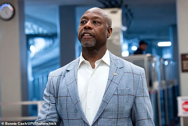 Trump Refuses to Apologize for Viral Video Depicting Obamas as Apes, Deepening Political Rift