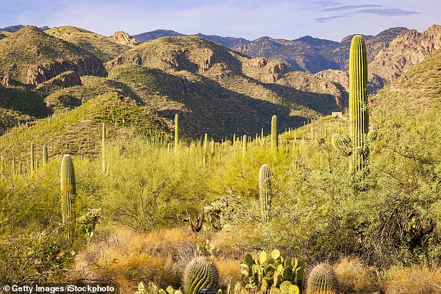 Search for Missing Nancy Guthrie Confronts Rugged Terrain and Unpredictable Weather in Catalina Foothills