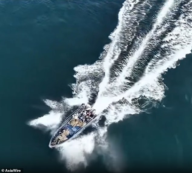 Protected Whale Struck by Fishing Boat Near Weizhou Island Sparks Conservation Crisis