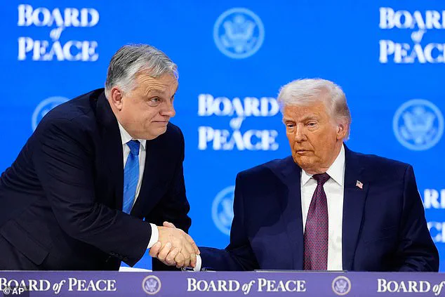 Trump's Board of Peace Convenes Historic Summit on February 19 to Reshape Global Conflict Resolution